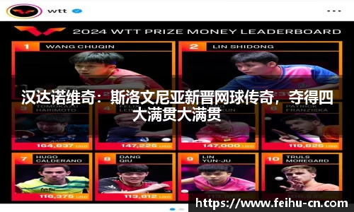 汉达诺维奇：斯洛文尼亚新晋网球传奇，夺得四大满贯大满贯